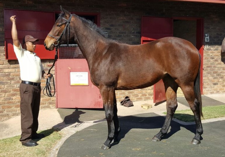 Lot 73