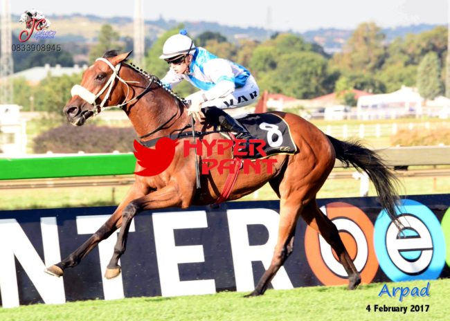 Arpad Oldlands Stud