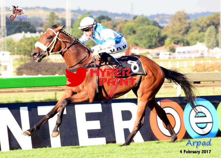 Arpad Oldlands Stud