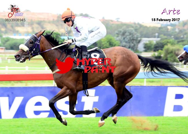 Arte Oldlands Stud