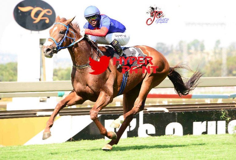 Count Tassilo Oldlands Stud