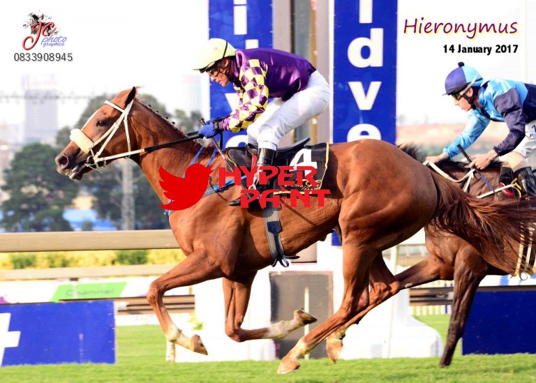 Hieronymus Oldlands Stud