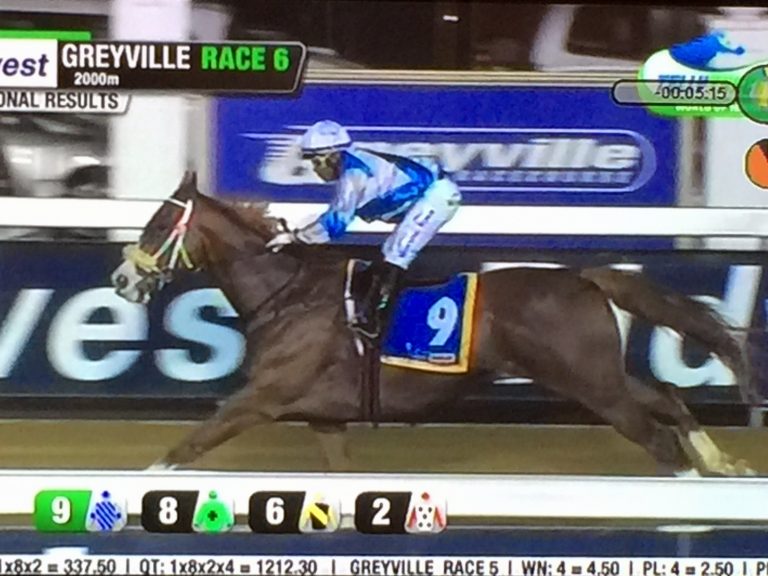 Winner Racing Socks Oldlands Stud