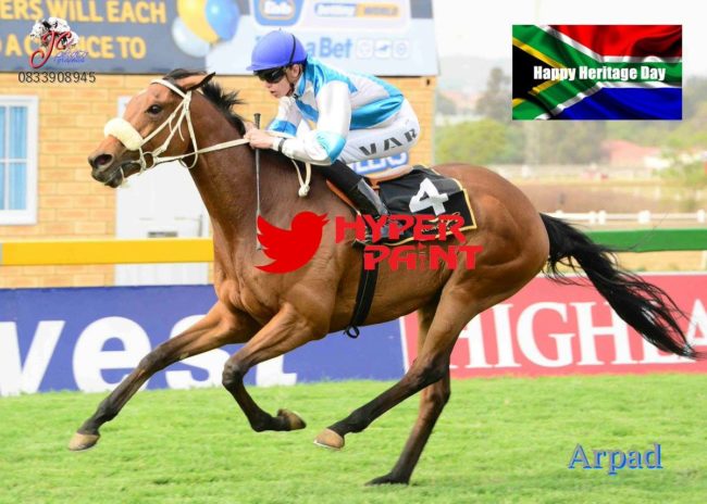 Arpad wins race 5! Arpad wins race 5!