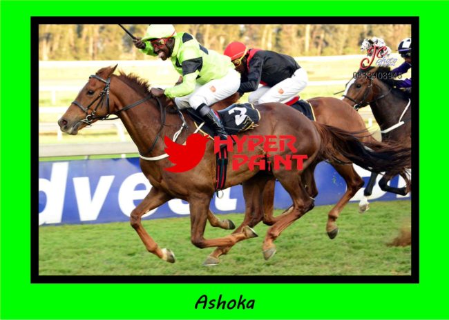 Ashoka Ashoka wins