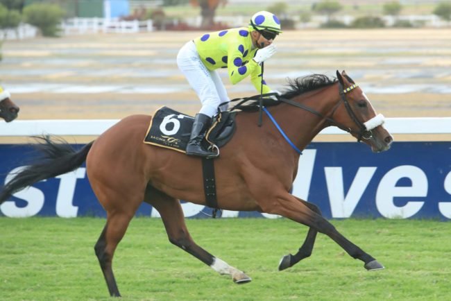 Summer Moon 13 march 2018 Summer Moon Wins! Oldlands Stud