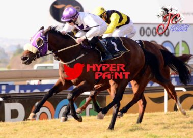 Arte Oldlands Stud
