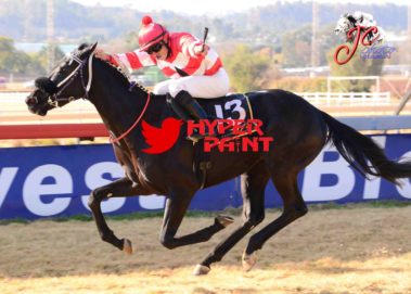 Gift For The Gap won - bred by Oldlands Stud