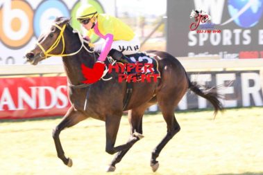 Russian Beat Oldlands Stud
