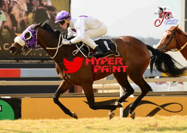 Oldlands Stud’s Arte July 2018 Oldlands Stud's Arte wins July 2018