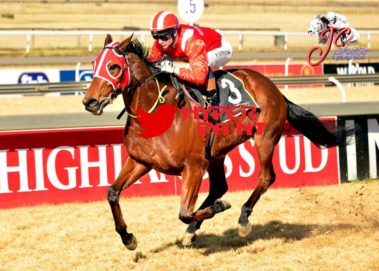 Defy Gravity wins Oldlands Stud