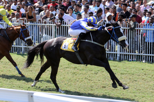 Moonrise Sensation August 2018 Moonrise Sensation Oldlands Stud