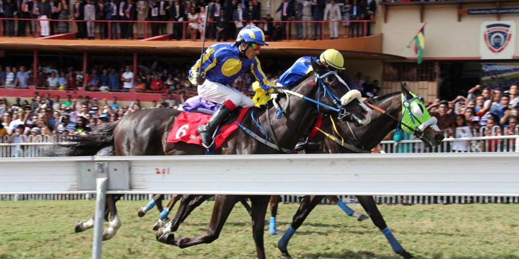 Moonrise Sensation Oldlands Stud