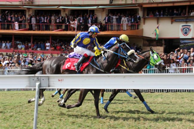 Moonrise Sensation September 2018 Moonrise Sensation Oldlands Stud