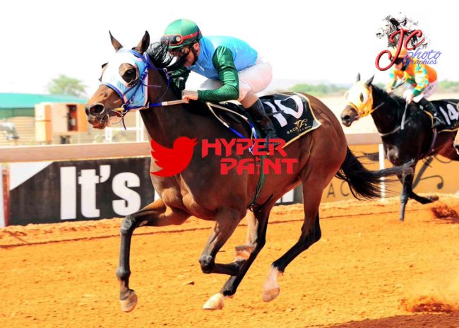Alraune bred by Oldlands Stud