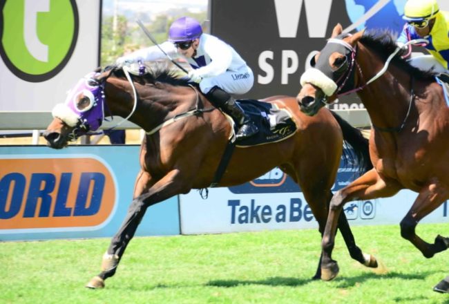 Arte Wins - Bred by Oldlands Stud