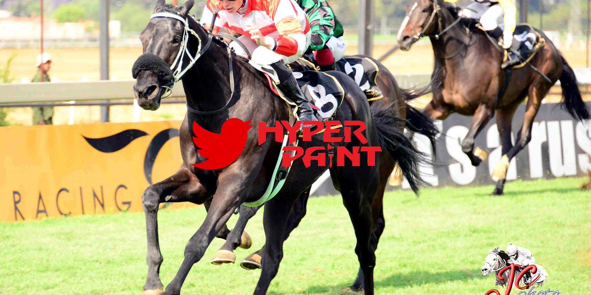 Gift For The Gap 11 October 2018 Gift For The Gap bred by Oldlands Stud