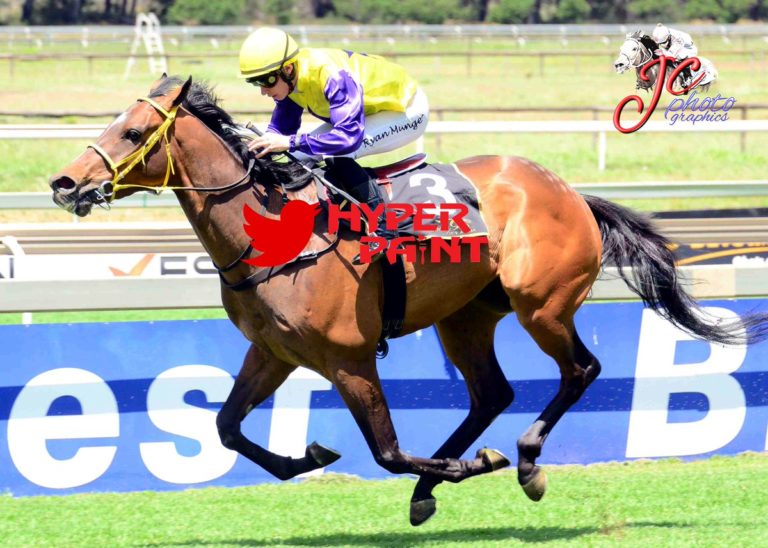 Gone With The Wind bred by Oldlands Stud