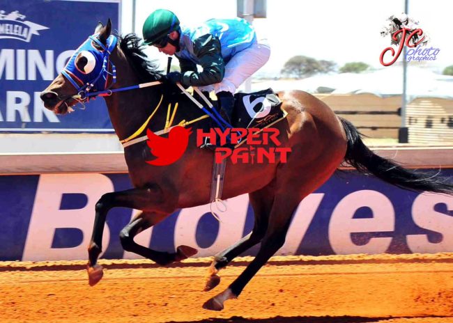 Alraune 3 Dec 2018 Alraune bred by Oldlands Stud