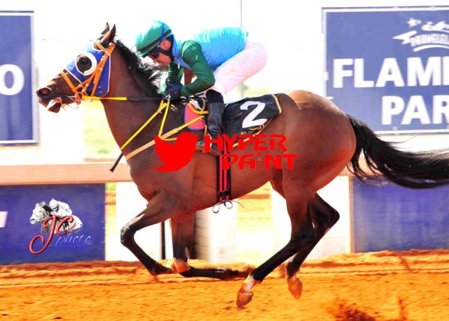 Oldlands Stud Alraune Wins