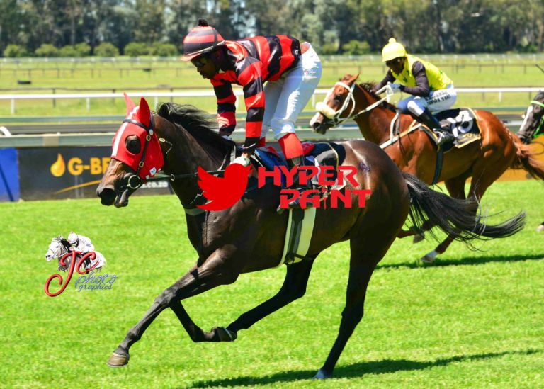 Upskilled bred by Oldlands Stud