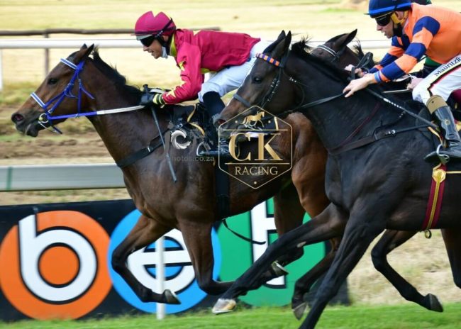 Meet The Captain – 29 April 2021 Meet The Captain wins - bred by Oldlands Stud