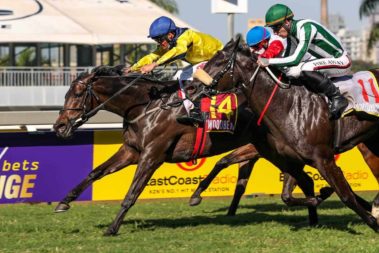 Oldlands Stud bred Indigo Moon wins the AmaZulu Community Trust Maiden Plate