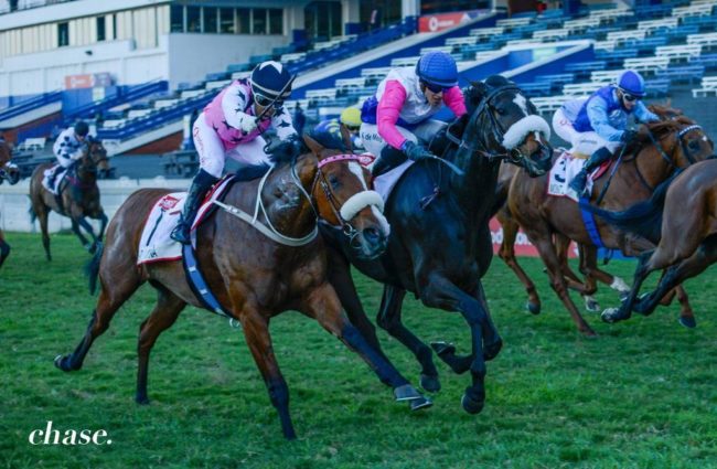 Zarina-July-2021-2 Oldlands Stud bred Zarina won the GR 1 Johnsson Workwear Garden Province Stakes!