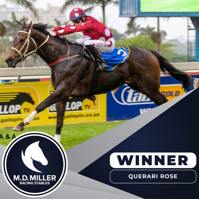 Querari Rose 04 11 2024