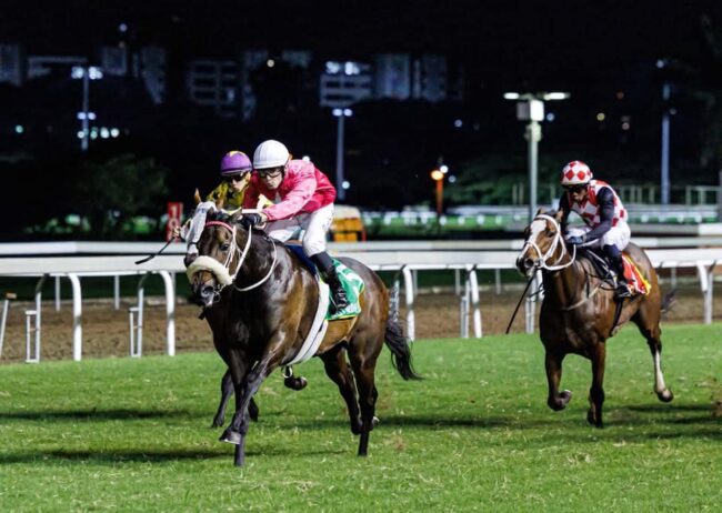 Arverni Princess 28 04 2025