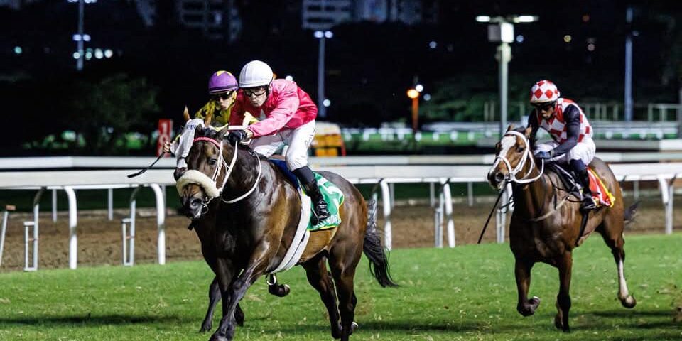 Arverni Princess 28 04 2025