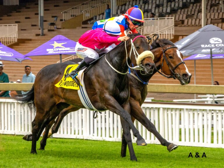 Arverni Princess Vercingetorix x Cyber Magic 21 09 2025
