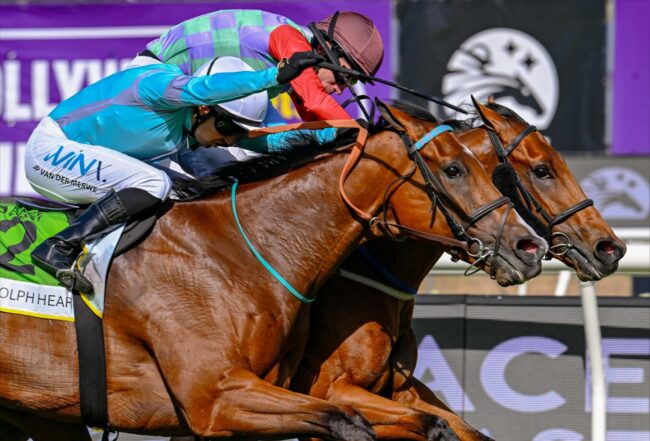 Good For You Gr 2 Punters Cup 22 11 2025 Good For You Gr 2 Punters Cup 22 11 2025