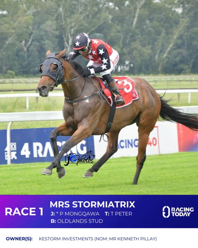 Mrs Stormiatrix (Vercingetorix x Darling Moon) 24 02 2026 Mrs Stormiatrix (Vercingetorix x Darling Moon) 24 02 2026