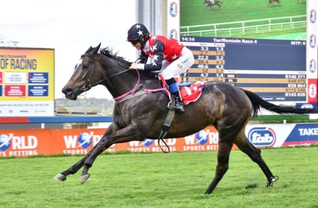 Play With The Wind (Elusive Fort x Windspiel) 07 12 2025 Play With The Wind (Elusive Fort x Windspiel) 07 12 2025