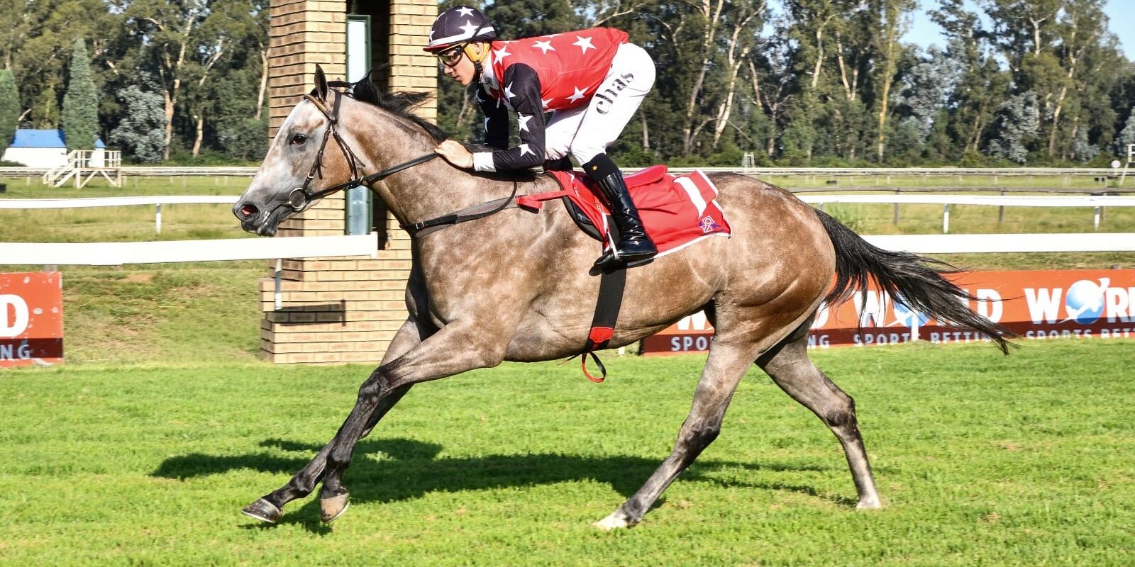 Precocious (Ideal World x Sekhmet) 05 02 2026
