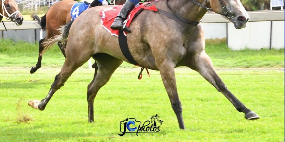 Precocious (Ideal World x Sekhmet) 24 02 2026 Precocious (Ideal World x Sekhmet) 24 02 2026