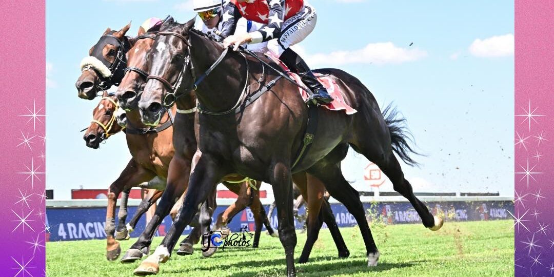 Taxi To The Moon Pinnaccle Stakes 07 02 2026 Taxi To The Moon Pinnaccle Stakes 07 02 2026