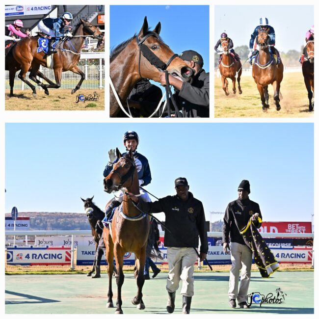 Whistle The Tune Pinnacle Stakes 06 07 2025 Whistle The Tune Pinnacle Stakes 06 07 2025