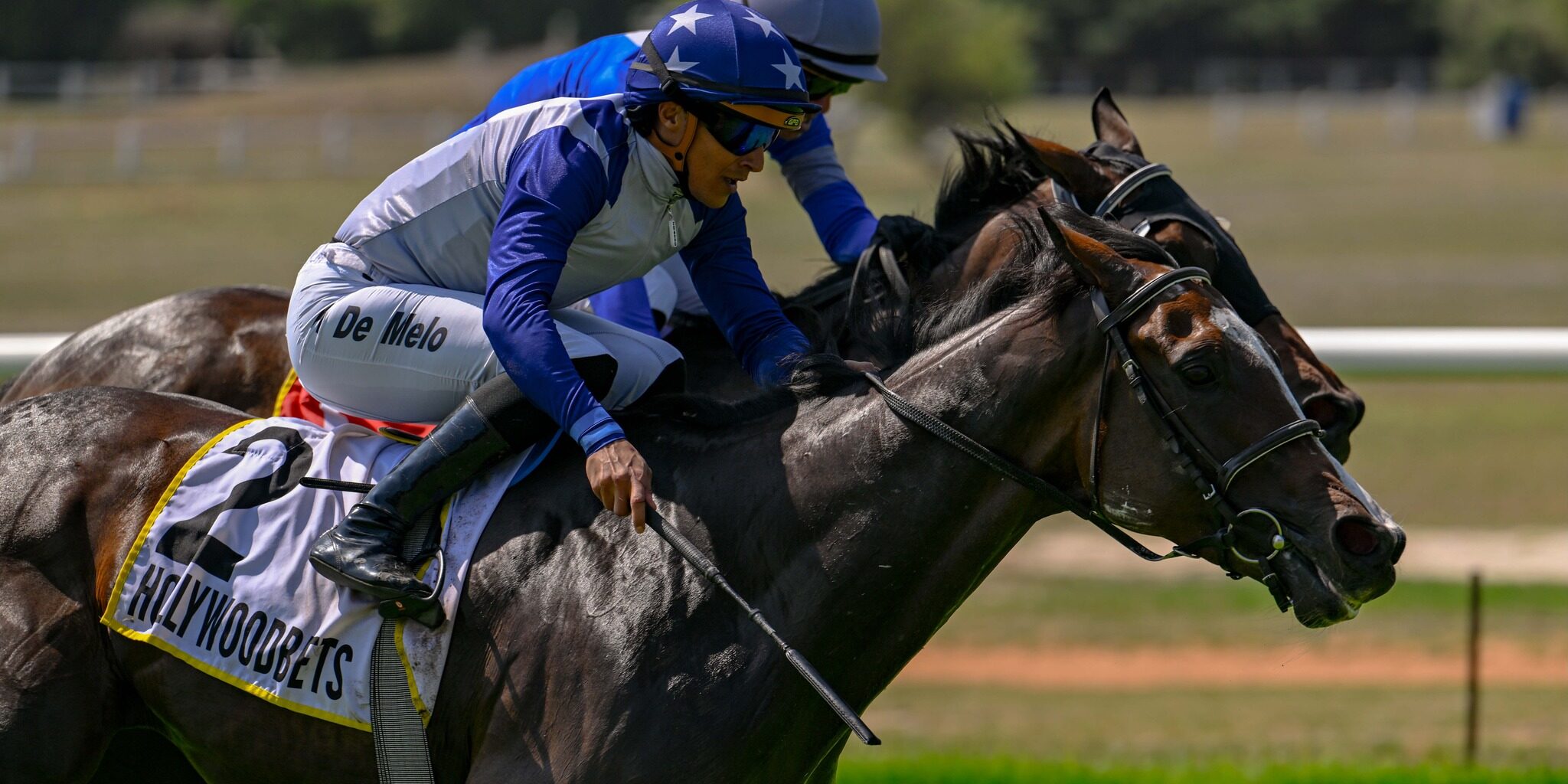 Heavenly Prince (Heavenly Blue x Noble Princess) 18 03 2026