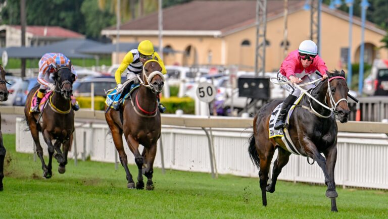 Arverni Princess Six time winner 05 04 2026