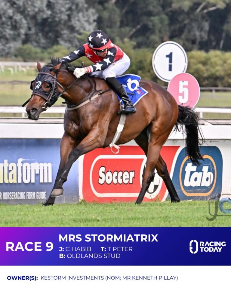 Mrs Stormiatrix (Vercingetorix x Darling Moon 28 03 2026