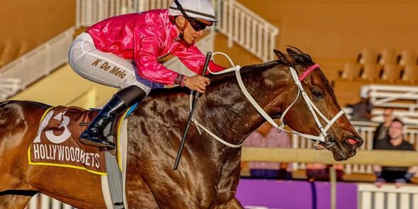 Arverni Princess 8th win 17 05 2026 Arverni Princess 8th win 17 05 2026