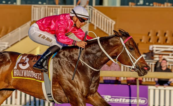 Arverni Princess 8th win 17 05 2026