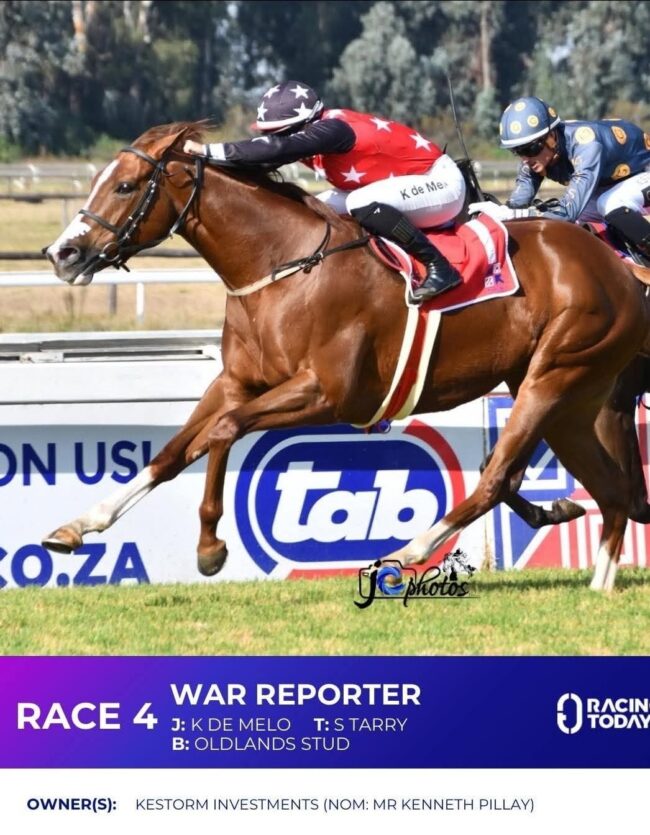 War Reporter (Vercingetorix x Idler) 28 05 2026 War Reporter (Vercingetorix x Idler) 28 05 2026