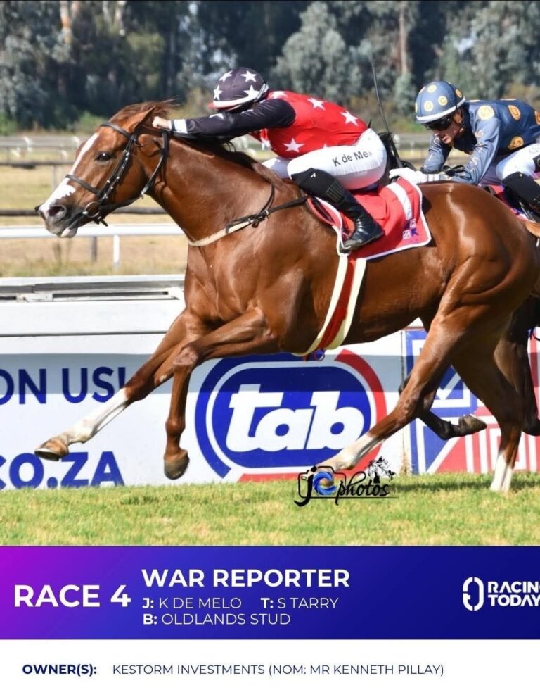 War Reporter (Vercingetorix x Idler) 28 05 2026