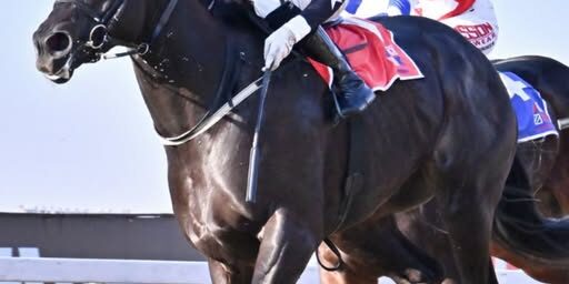 Taxi To The Moon 9th win Pinn Stakes 05 07 2026